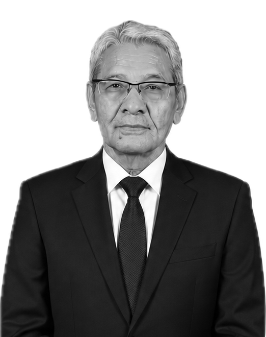 Mr. Mansukh Savla