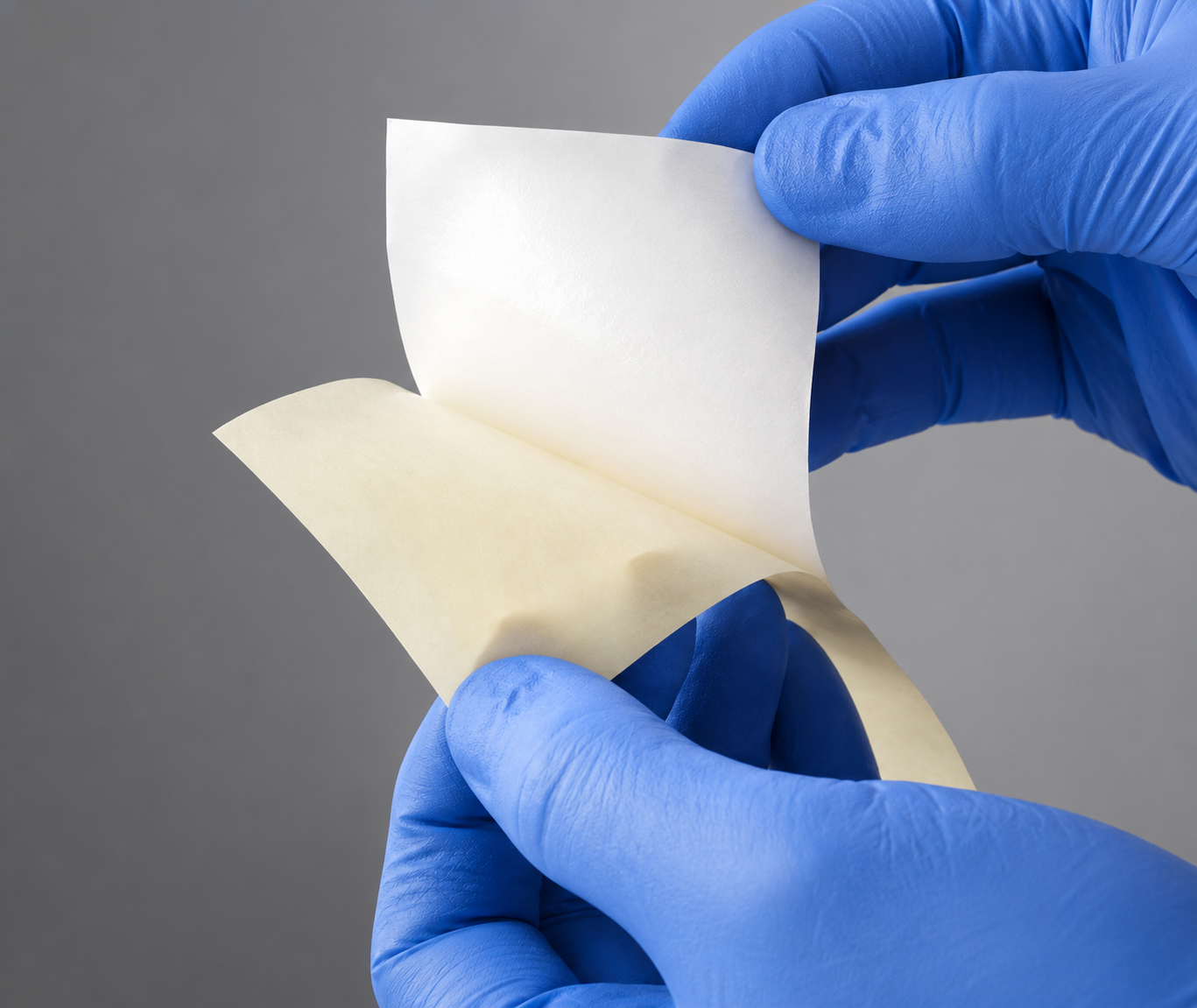 Silicon Film / Release Liner gallery image